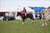 UKPA  NC Sat_1196